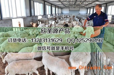 豆粕喂羊的注意事項與方法