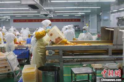 廣西百色特色農產品銷全國鏈東盟 老區民眾“錢途”廣