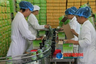 哈爾濱推進農產品精深加工，走富民強縣之路