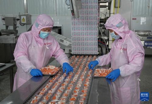 河北昌黎農產品深加工 鄉村振興的新引擎