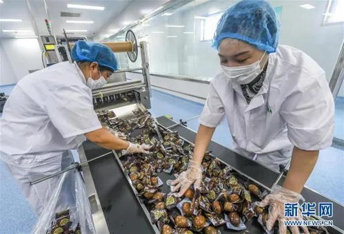 農產品加工業的“三個蘋果”模式探析