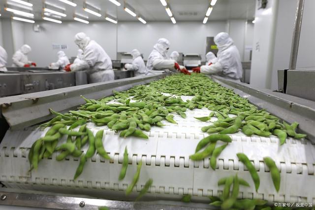 脫水蔬菜加工項目可行性研究 立足農(nóng)產(chǎn)品加工，開拓市場新藍海