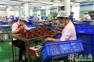 上半年全市農產品加工銷售收入與利潤穩健增長，產業升級成效初顯