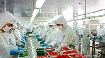 興辦農產品加工業不可不知 11項關鍵問答指南