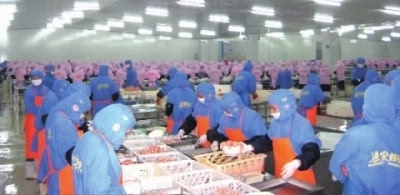精耕細作，繪就湖南農產品加工業新藍圖