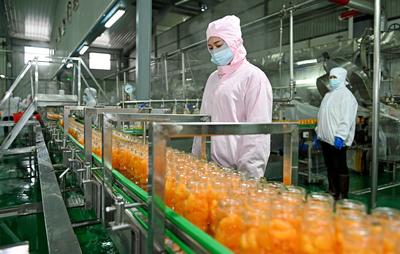 湖南洞口 農產品深加工促增收，激活鄉村振興新引擎