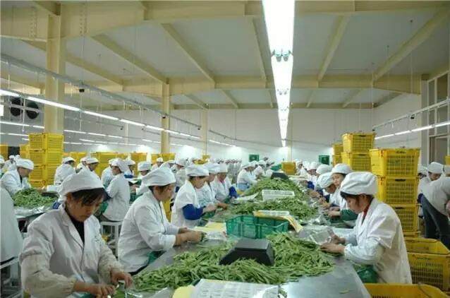 農產品加工 3大政策扶持，6大項目隱藏千萬商機！